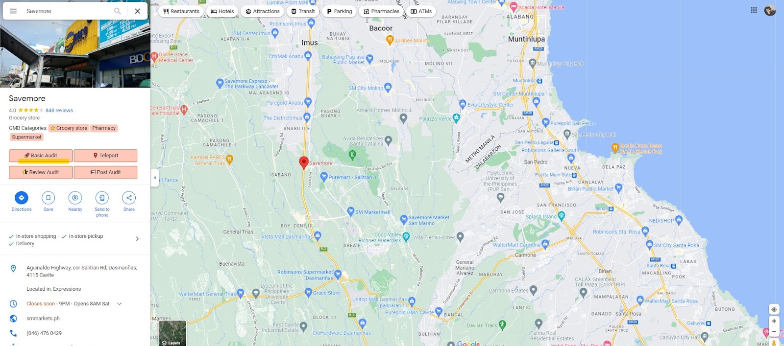 The Basic Audit button highlighted in Google Maps search results