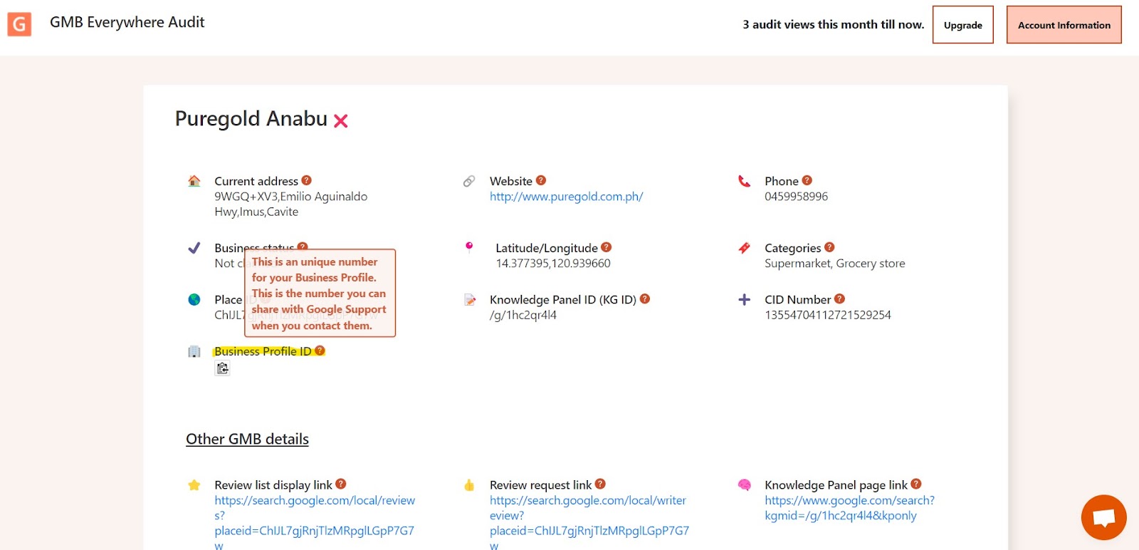 Screenshot highlighting the Business Profile ID on the GMB Everywhere audit page