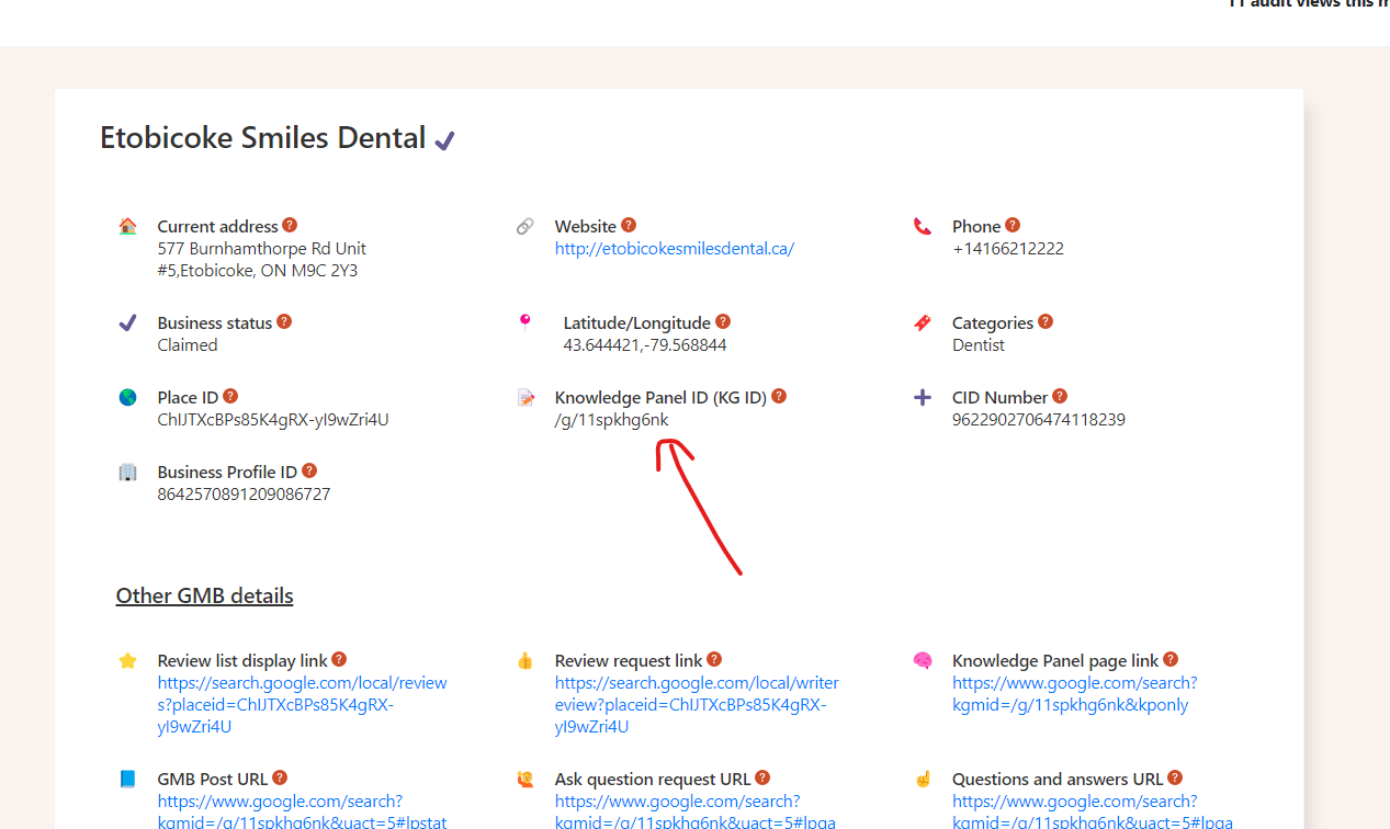 Screenshot of the GMB Everywhere audit page showing the Knowledge Panel ID (KG ID) field